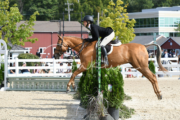 HSM_6045