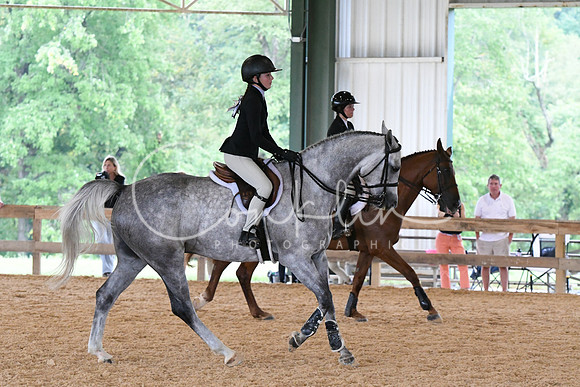 HSM_2509
