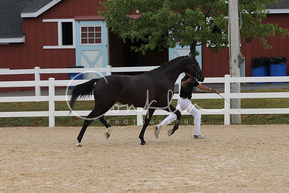 HLK_3547