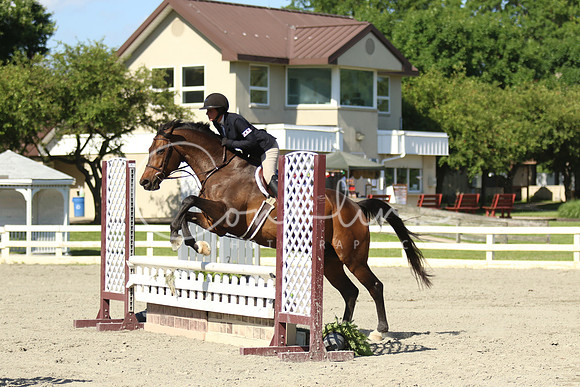 1I7A1706