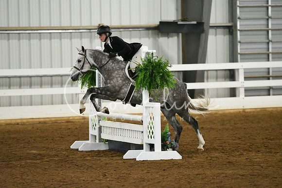 HSM_5447