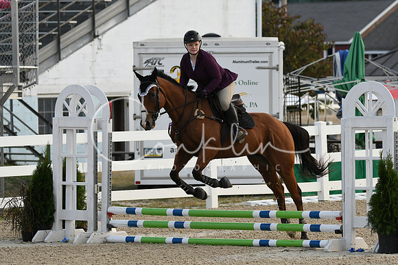 HSM_0866