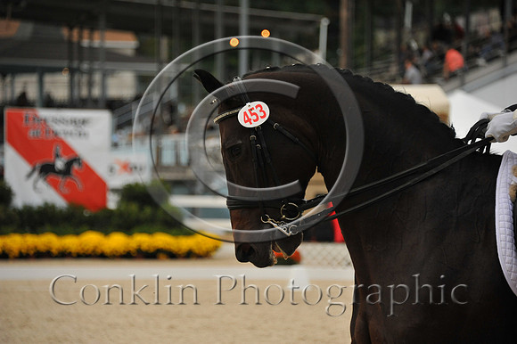 MBP_4797