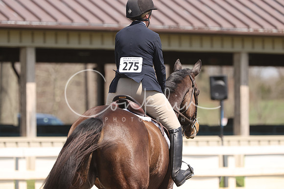 1DX31389