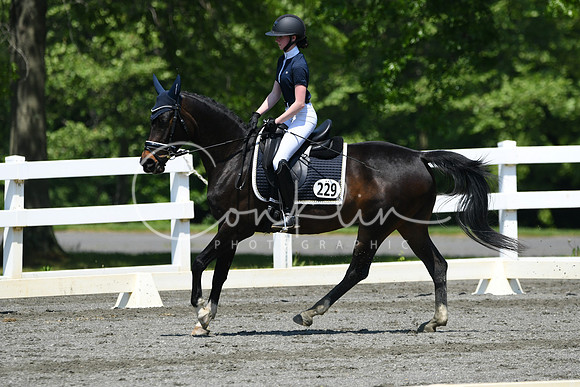 HSM_1453