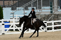 HSM_3395