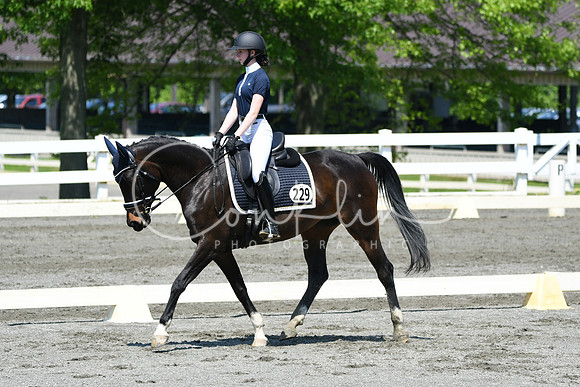 HSM_1338