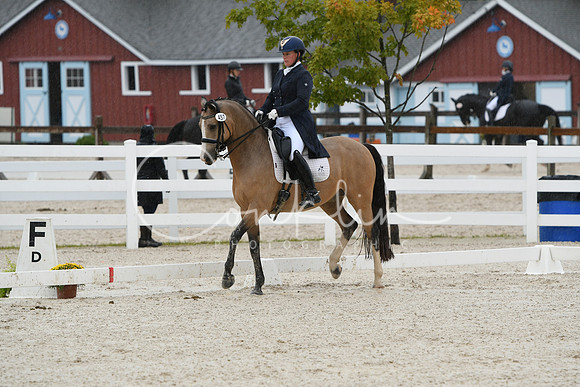 HSM_0242