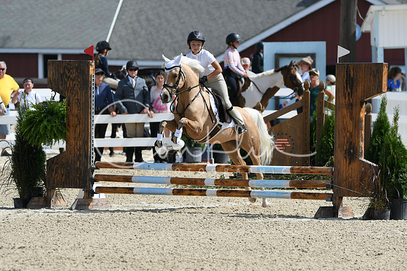 HSM_2058