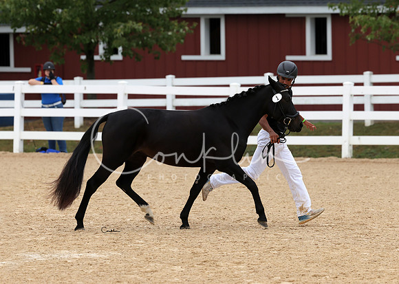 HLK_4196-1