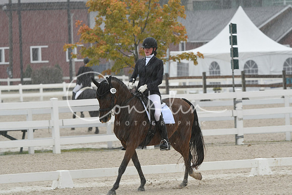 HSM_0049