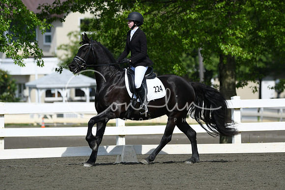 HSM_9419