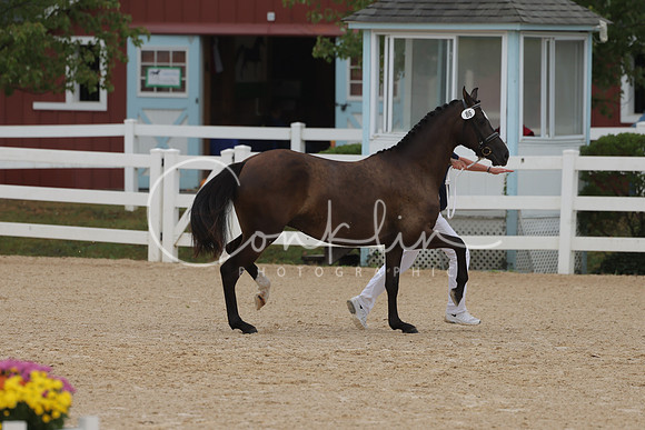 HLK_3251