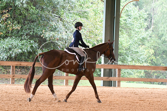 HSM_2335