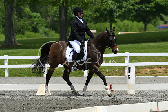 HSM_0374