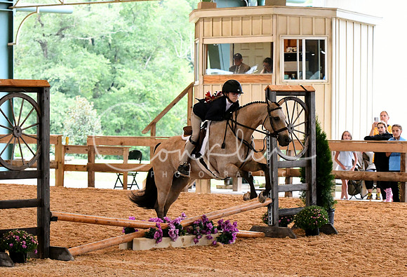 HSM_6196-1