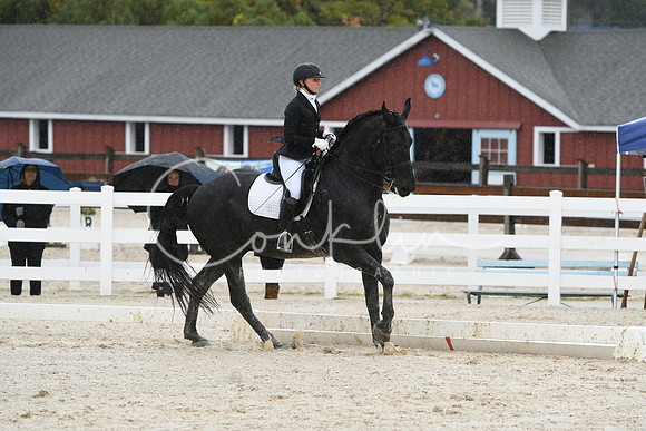 HSM_0447