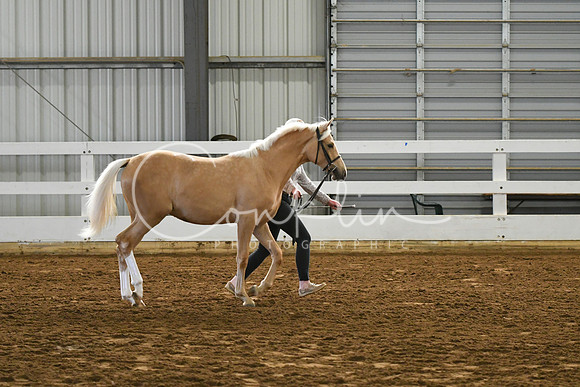 HSM_3862