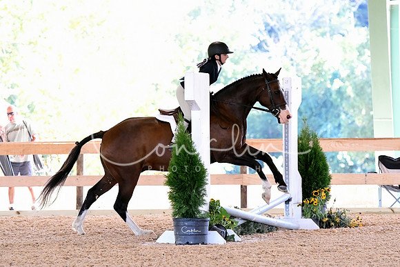 HSM_2682-1