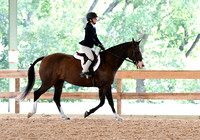 HSM_2049-1