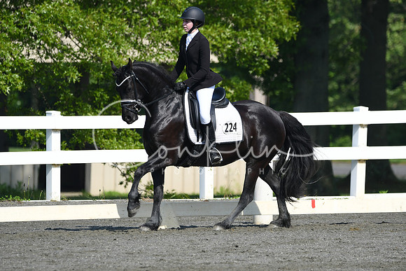HSM_1077