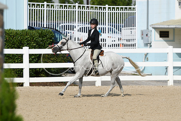 HSM_5831