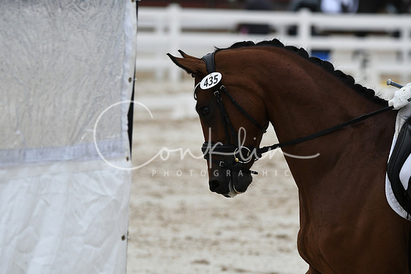 HSM_8527