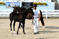 HSM_5977