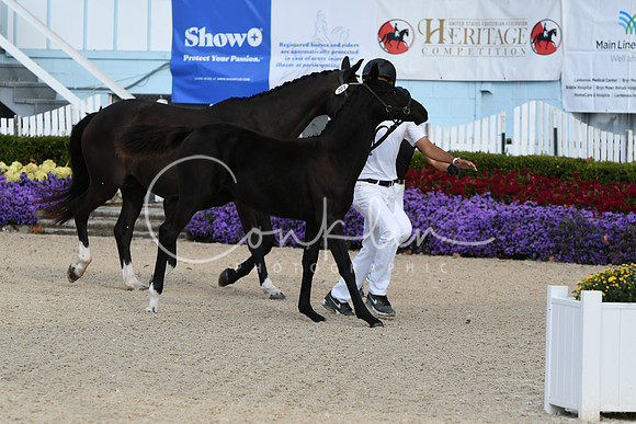 HSM_5994