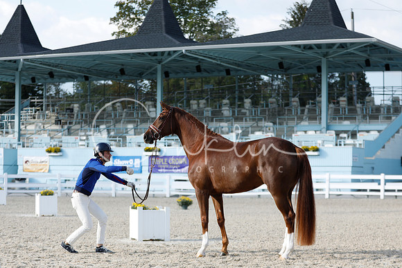 _MG_3076