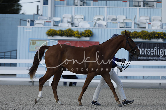 _MG_3038