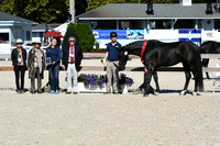 HSM_6191