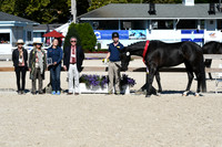 HSM_6190