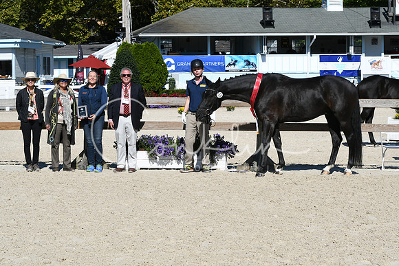 HSM_6195