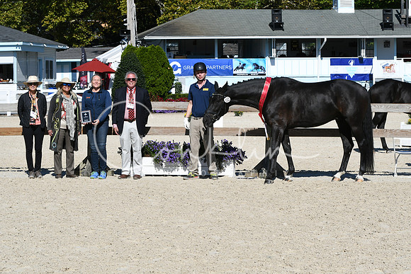 HSM_6197