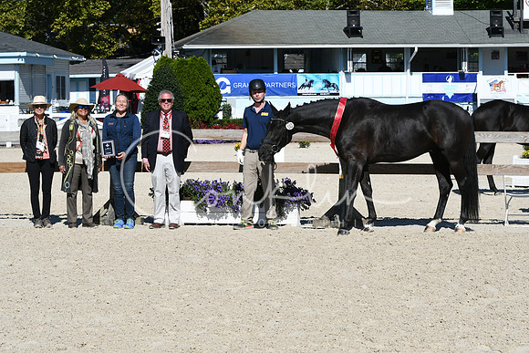 HSM_6196