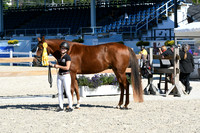 HSM_6168