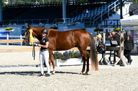 HSM_6169