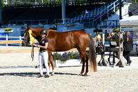 HSM_6170