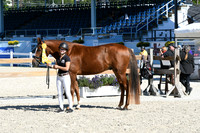HSM_6171
