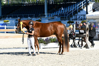 HSM_6173