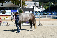 HSM_6142