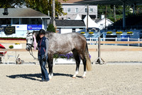 HSM_6143