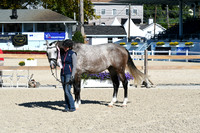 HSM_6146