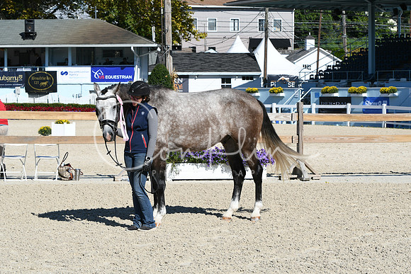 HSM_6146