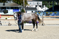 HSM_6145