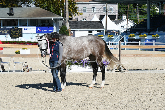 HSM_6145