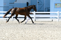 HSM_6304