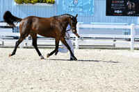 HSM_6307