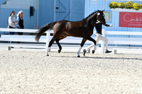 HSM_6329